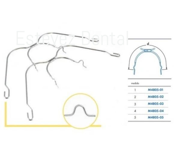 ARCO EXT. LEONE OMEGAS N.1