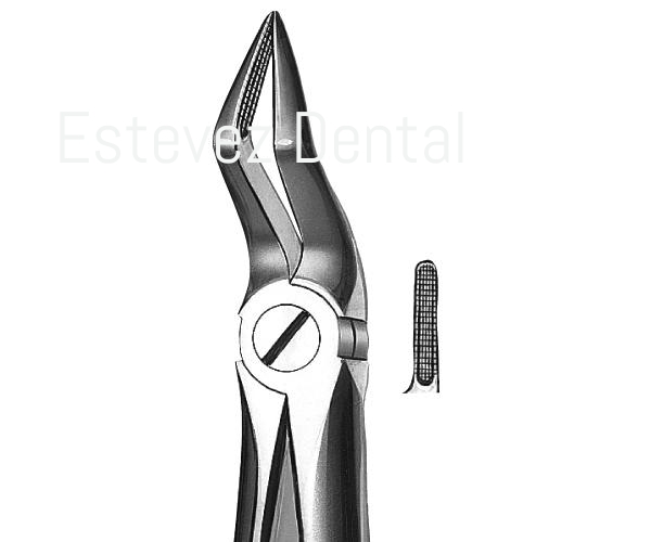 FORCEPS KDM 51A RAICES SUP