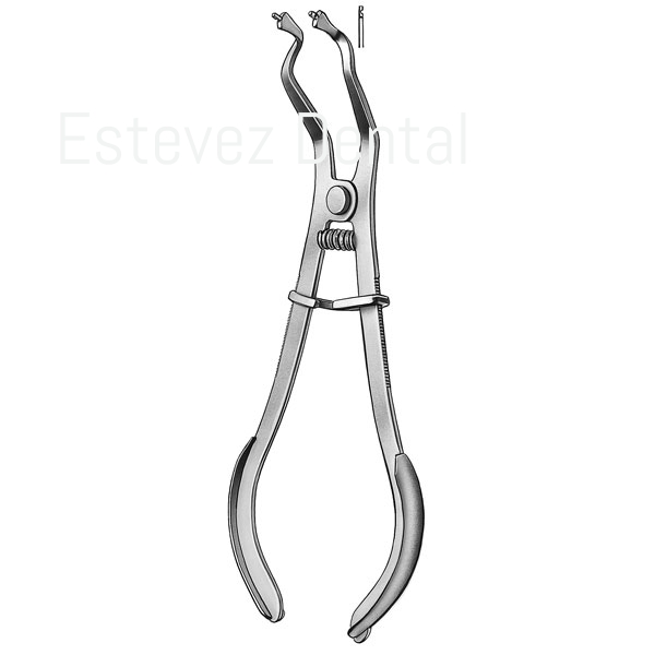 PORTA CLAMPS MARTIN IVORY N.604