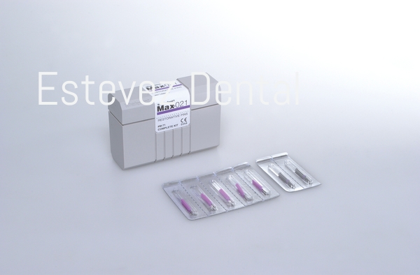 PINS MAX 017 INTRODUCCION