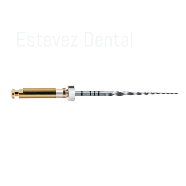 PROTAPER GOLD 31MM S2 BLANCO