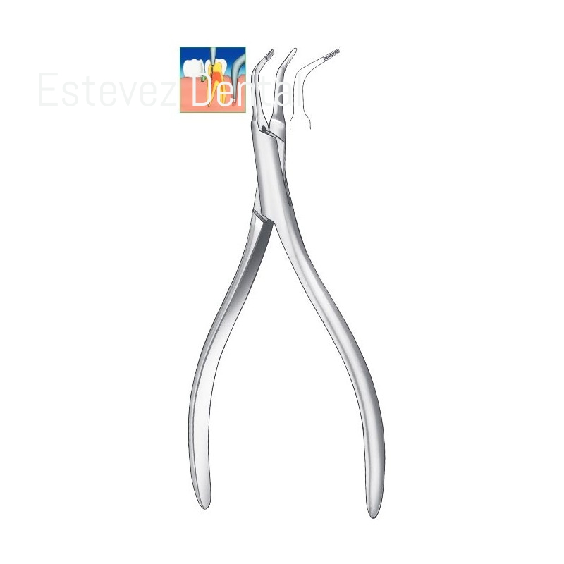 ALICATE ENDODONCIA MARTIN STIEGL