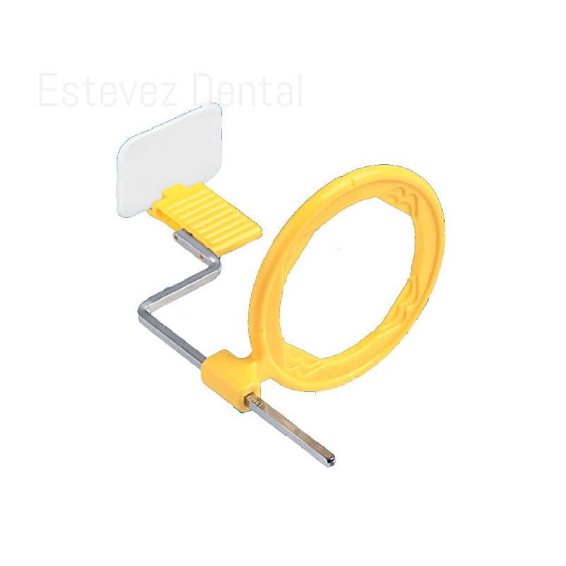 RINN XCP ARO POSTERIOR AMARILLO