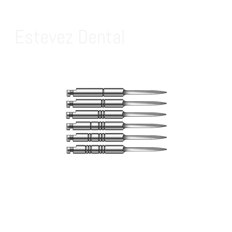 ENSANCHADORES DENTATUS LARGO N.4