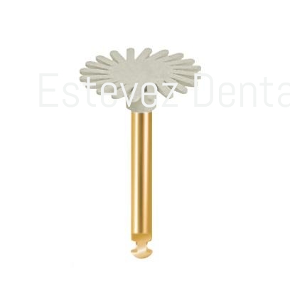 PULIDORES DIACOMP P-T XT 14F x10