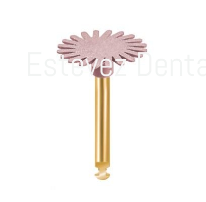 PULIDORES DIACOMP P-T XT 14M x10